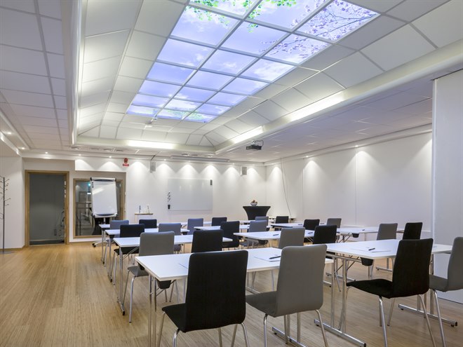 Bakfickan konferensrum