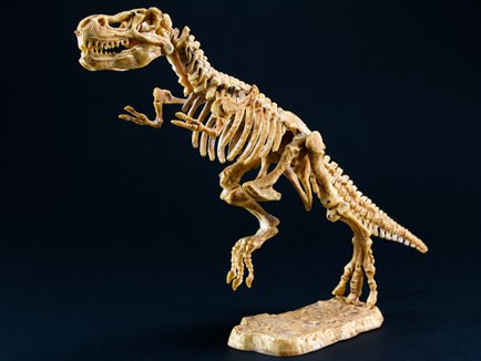 Naturhistoriska riksmuseet, Stockholm