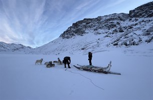 Dog sledding in Sisimiut. Photo.