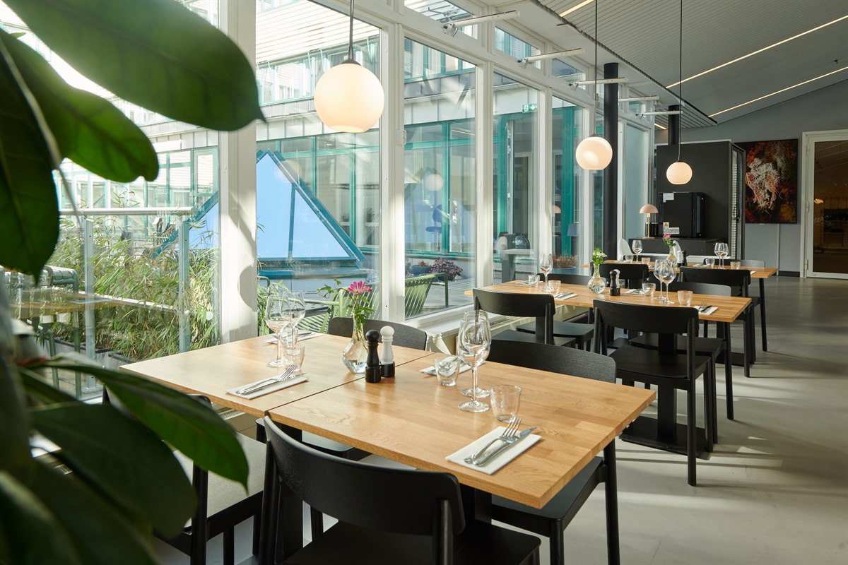 Receptionsområde och lobby