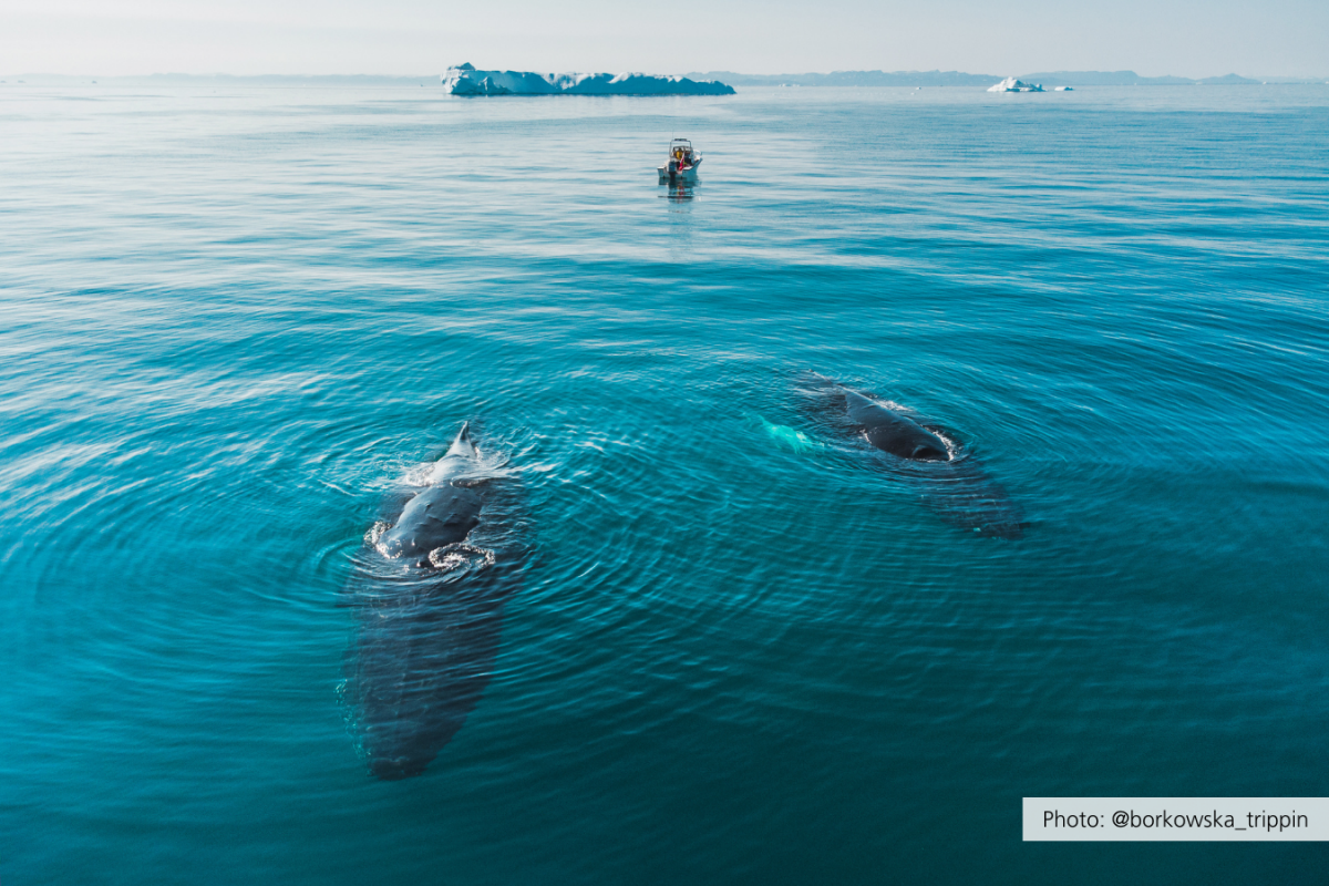Valar Hotel Søma Aasiaat. Bild.
