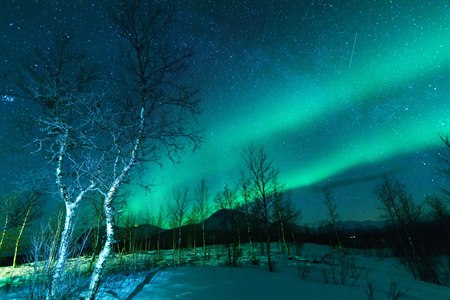 Se nordlys i Kiruna. Bilde.