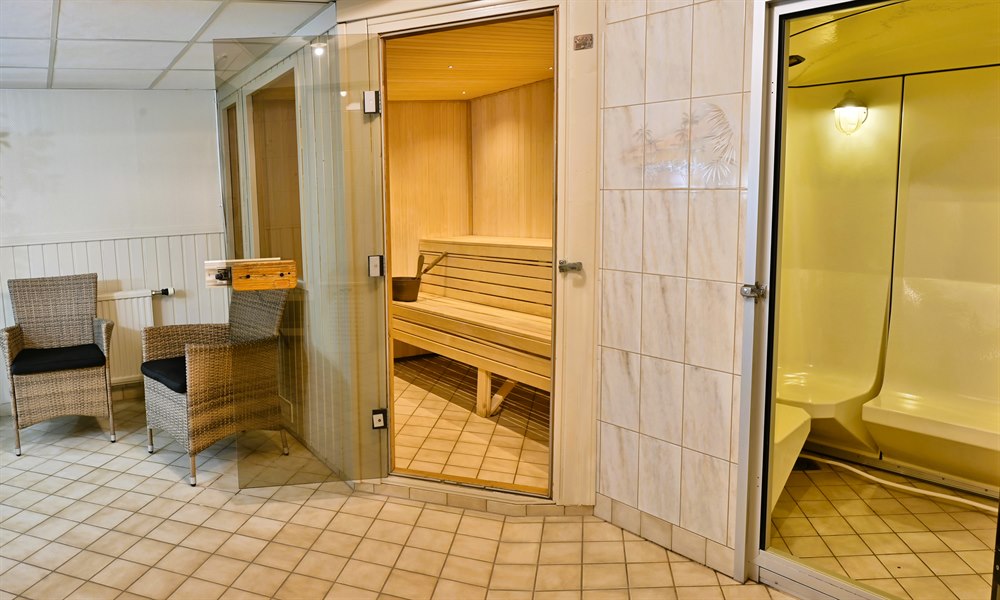 Relaxavdelning med bastu. Bild.