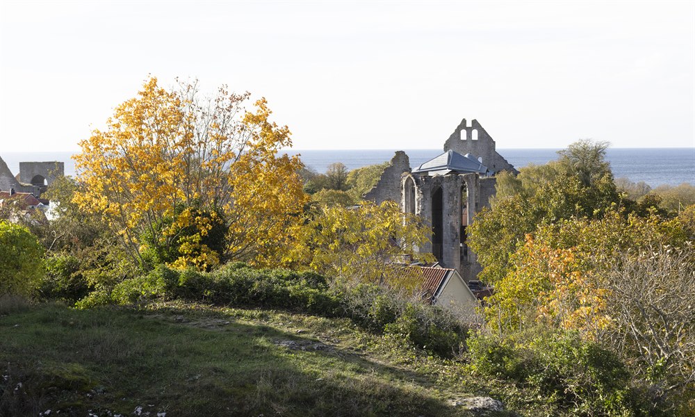 Ruins on Gotland in autumn weather.