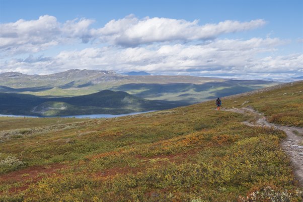 Kungsleden trail in summer. Image.