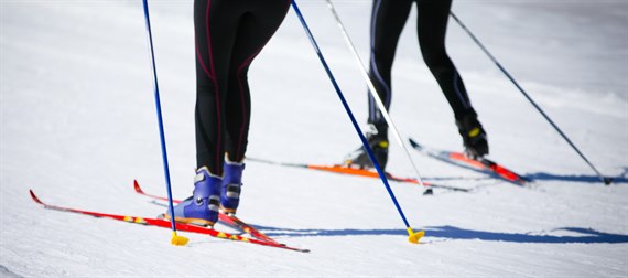 skidor