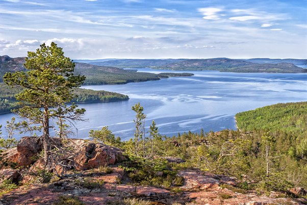 Höga Kusten Sverige