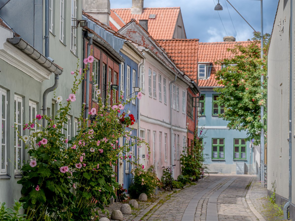 Cozy street in Elsinore. Image.