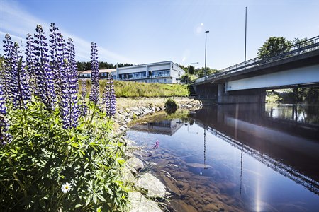 The hotel viewed from distans