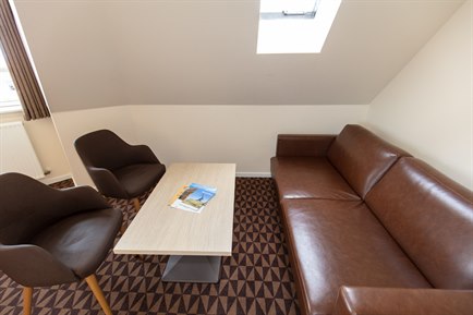 Brown sofa Family Room. Photo.