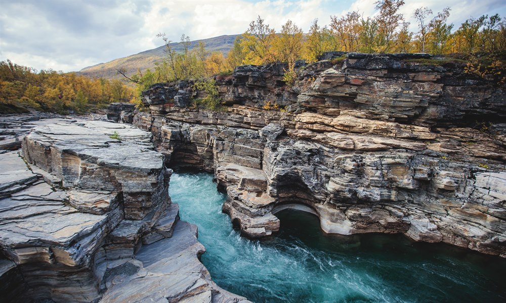 Abisko nasjonalpark Lappland. Bilde.