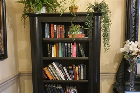 book shelf.photo.