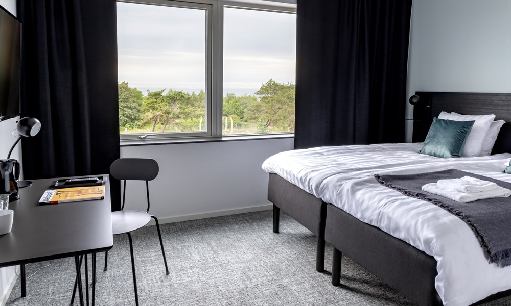 standard double room