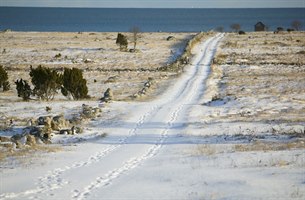 winter road on gotland