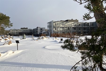 Vinterbilde på hotellet. Foto