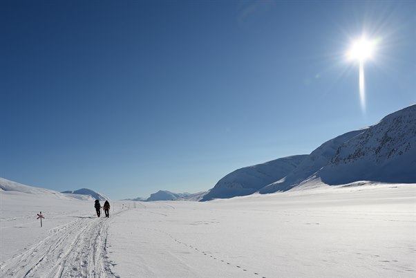Kungsleden in winter. Image.