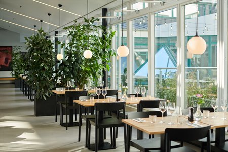 Receptionsområde og lobby