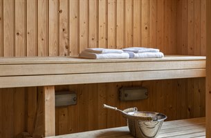 suite sauna