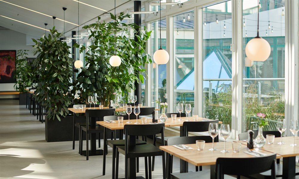 Receptionsområde och lobby