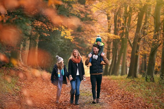 familiy in the woods