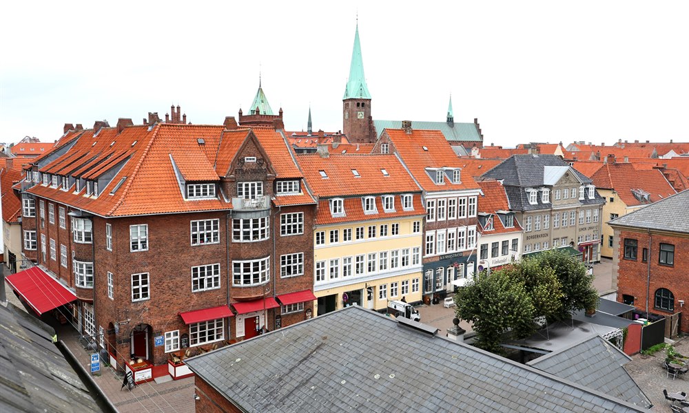 View over Elsinore. Image.