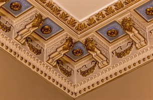 ornate stucco on the ceiling