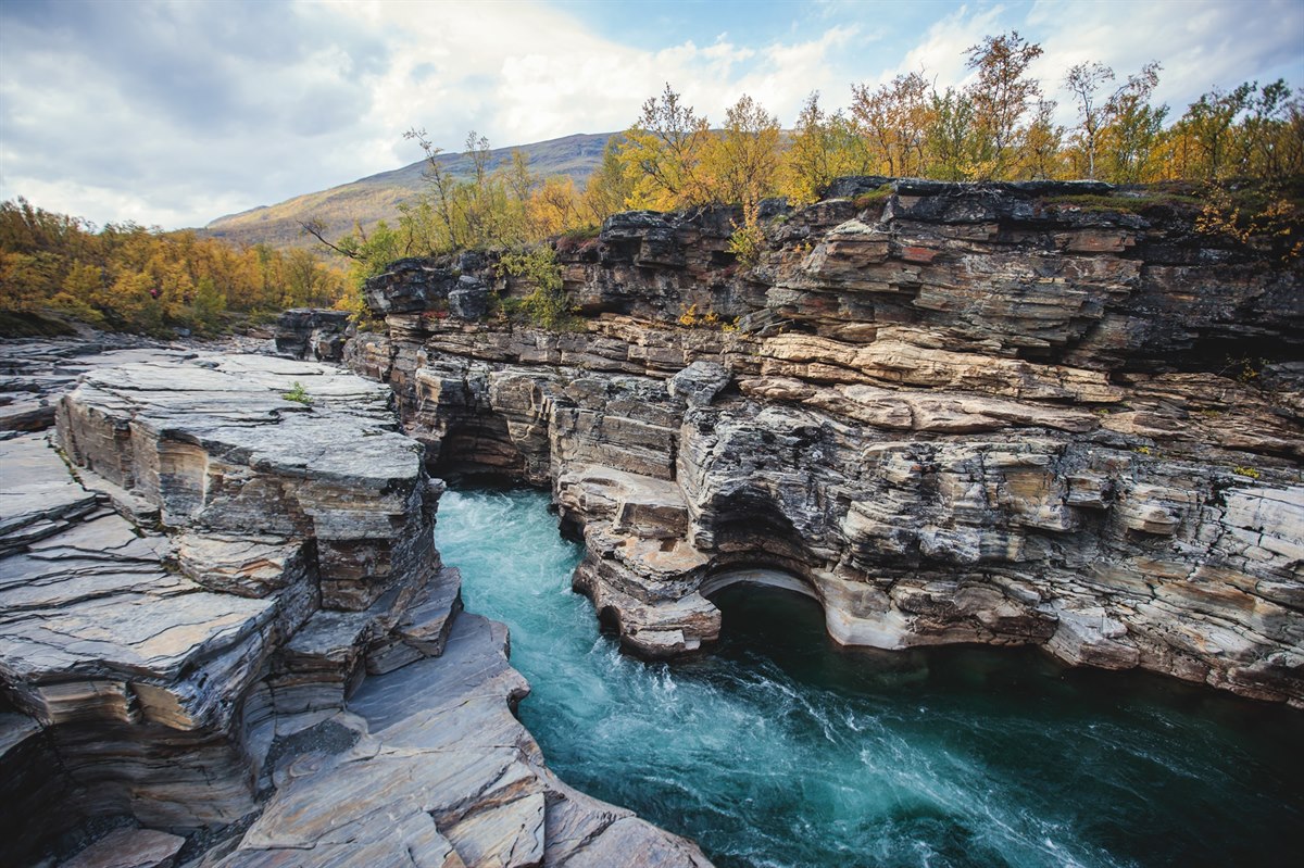 Abisko nasjonalpark Lappland. Bilde.