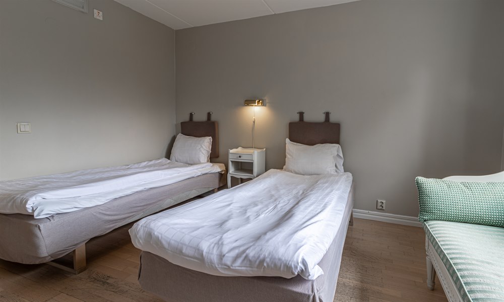 Standard Twin. Image.