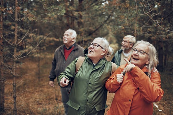 äldre som går i skogen