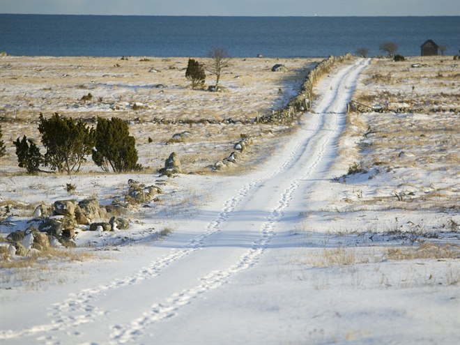 vinterväg på gotland