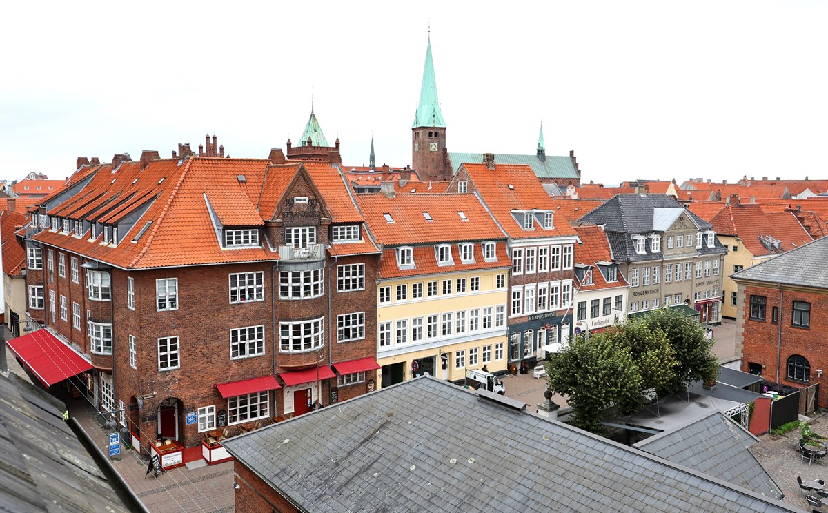 View over Elsinore. Image.