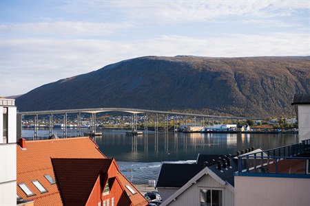 Udsigt over det omkringliggende område, fjorden og bjergene.