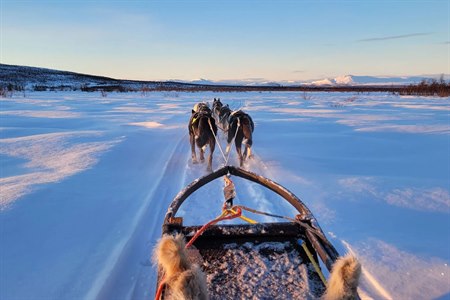 Utforska hundspann i Lappland. Foto.