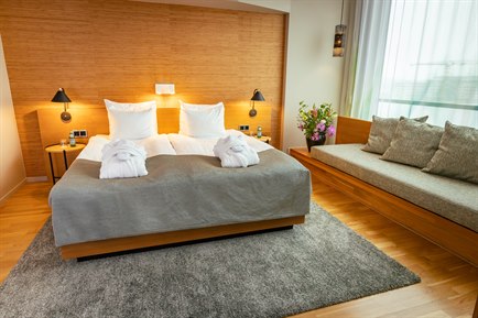 Executive and Deluxe room. Image.