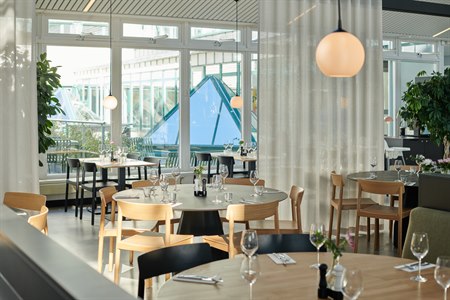 Receptionsområde og lobby