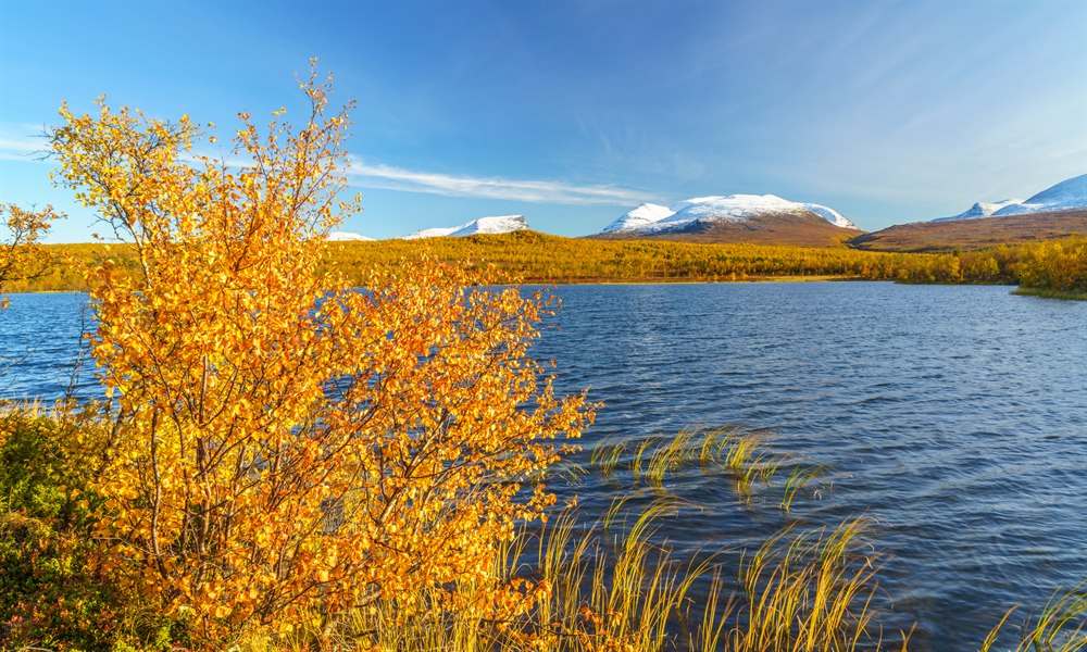 Njakajaura Abisko nasjonalpark. Bilde.