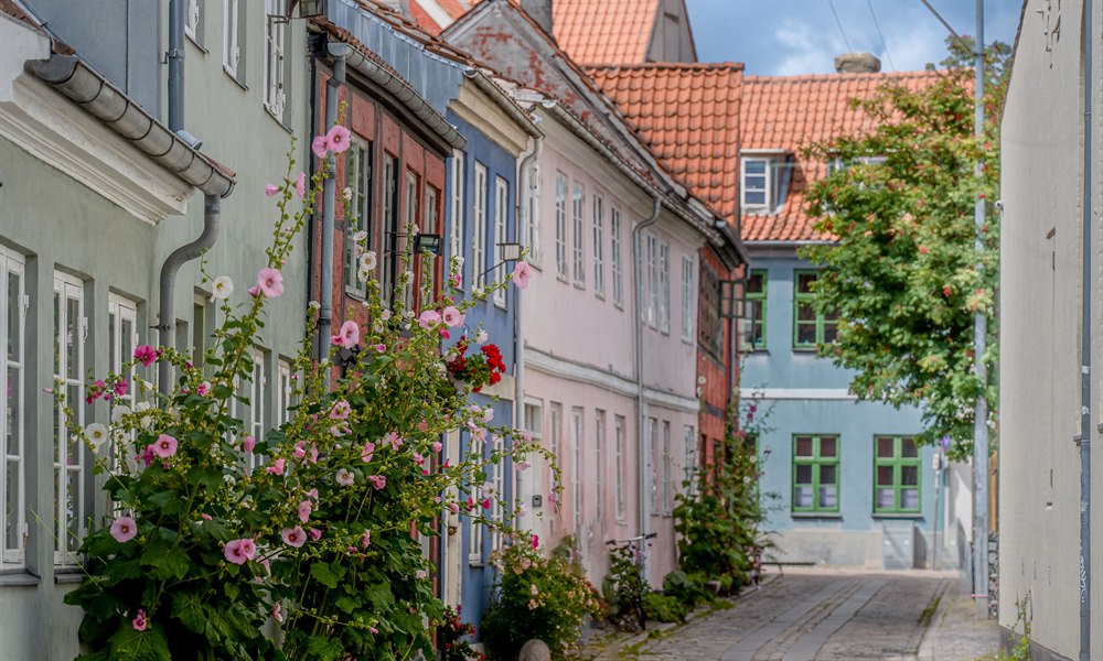 Cozy street in Elsinore. Image.