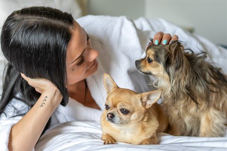 A woman with two dogs. Image.