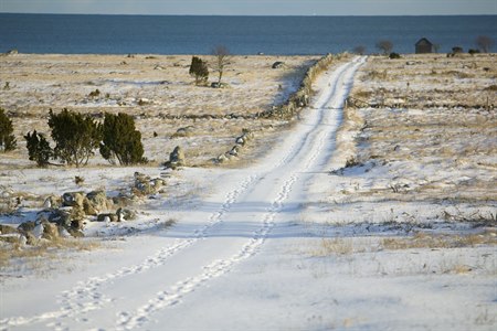 vintervei på gotland