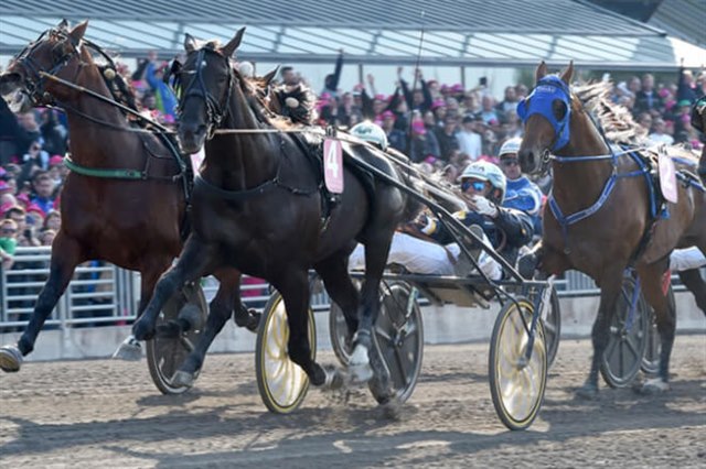 Solvalla Racetrack