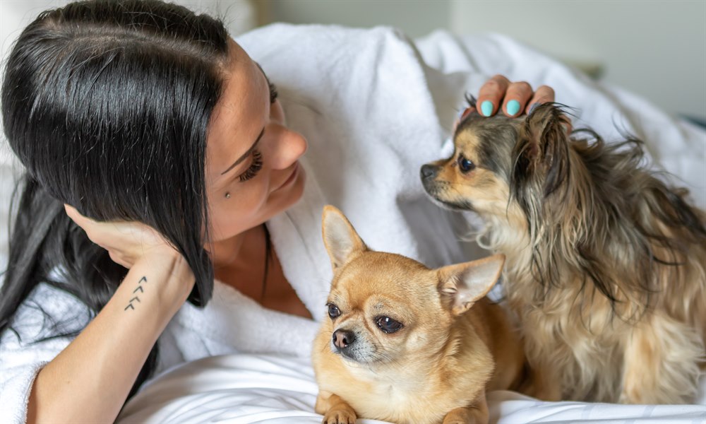 A woman with two dogs. Image.
