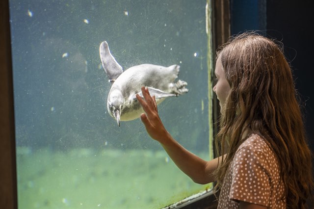 Aalborg Zoo. Foto.