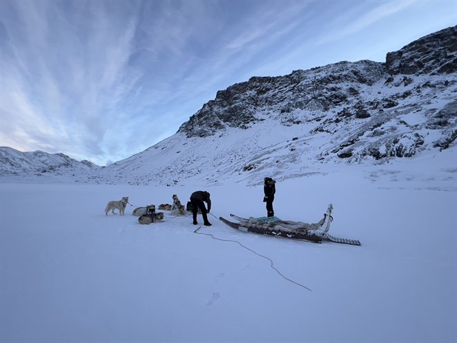 Dog sledding in Sisimiut. Photo.