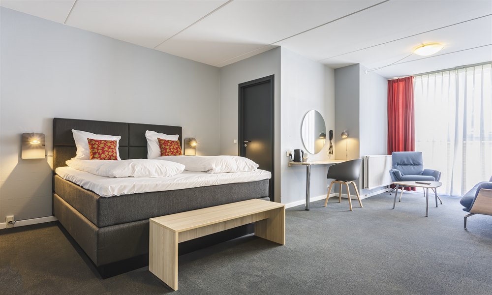 Business Double room. Image.